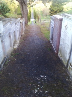 Path before pic